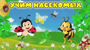 НАСЕКОМЫЕ для детей! Учим насекомых для самых маленьких на русском! Развивающие мультики для детей!