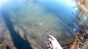 ГОЛАВЛЬ ПРОСНУЛСЯ #секретыспиннингиста