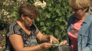 Заготовки из помидор. Помидоры черри в кисло-сладком соусе