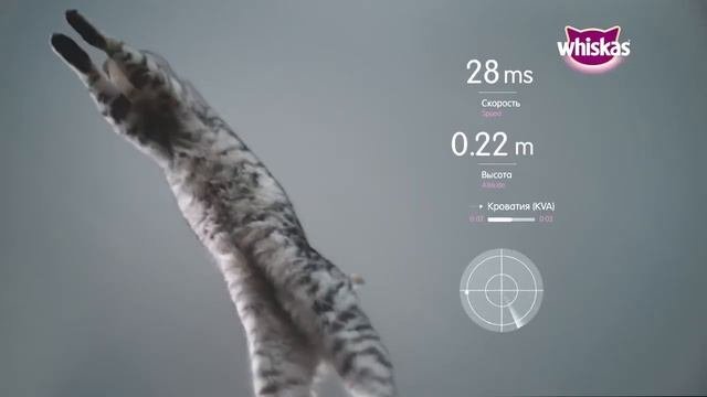 Реклама WHISKAS 