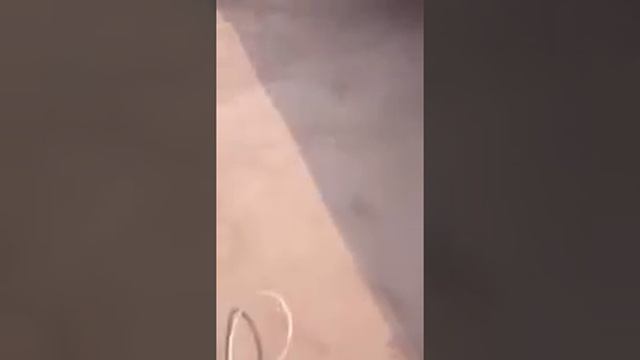 Быстрое нанесение гидроизоляции станцией со шнековым насосом и встроенным компрессором смотреть онлайн