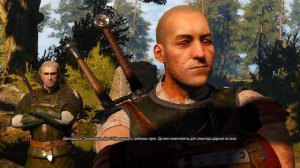 The Witcher 3. Заказ - чудовище из Доброва. Игры кошек и волков