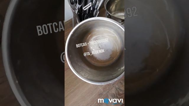 Мустик чистит накипь от кипячения детских бутылочек! смотреть онлайн