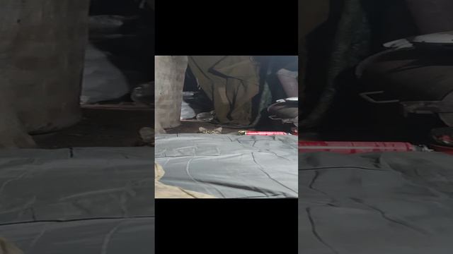 Кот пришёл в блиндаж
