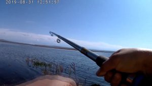 Фидерная рыбалка на Листвягово.