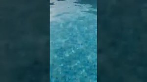 Второй шанс средству для бассейна. Мастер Пул