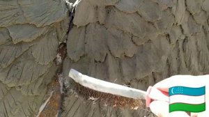 Крылья из арт бетона своими руками.