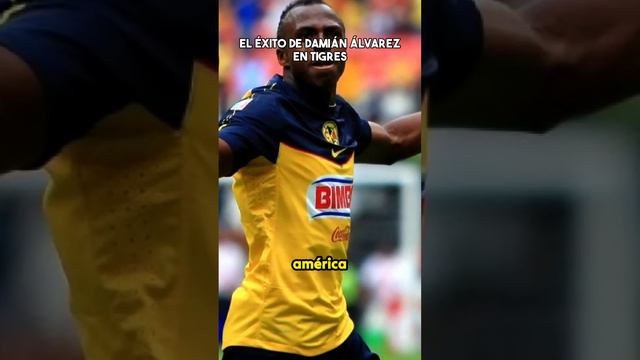 El éxito de Damián Álvarez en Tigres #futbol #mexico #ligamx #tigres #soccer #football