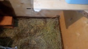 Домик для кроликов ВЕЛИКАНОВ. Универсальная клетка для кролика с удобной системой уборки.