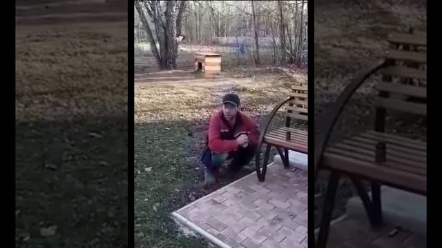 Как тяжело пьются первые 100 грамм) [Юмор]