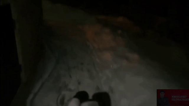 ХОЗЯЕВА ДЕЛАЮТ БАНЮ || ГОРИЛЛЫЧ ЗАПУСКАЕТ ФЕЙЕРВЕРКИ смотреть онлайн