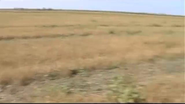 Охота на перепела | Выпуск №3 (UKR) смотреть онлайн