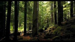 Вадим Зеланд- Трансерфинг реальности Взлом техногенной системы (часть 1)