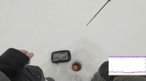 В поисках сига. Обзор удочки Narval Frost Stick. Рыбалка в Карелии 2021