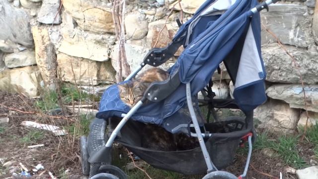 Анапа сегодня пару недель до окончания зимы видео 14 февраля 2019 года смотреть онлайн