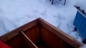 Пасека.Успех зимовки 2-3 рамочных отводков! Итоги прошлого года.