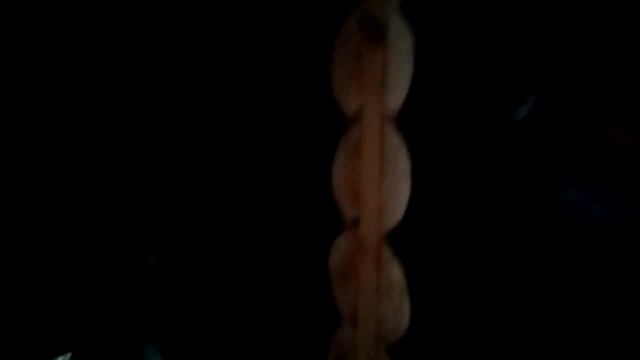 Отделка бани под ключ - Процесс отделки бани (часть 1)