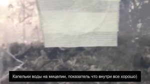 Выращивание вешенки в 20 литровом контейнере