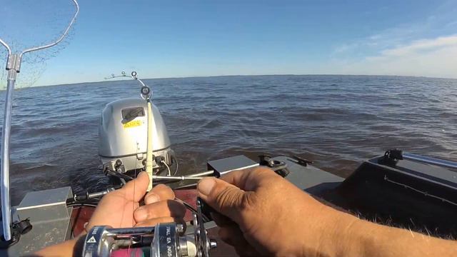 Рыбалка троллингом пытаюсь поймать щуку судака окуня с переменным успехом