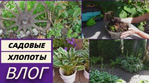 Садовые хлопоты/Дел уйма/Кот это жидкость/Клубника взбесилась