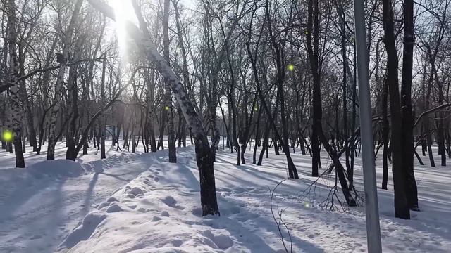 Свекровь в загсе прошептала в ухо невестке. Оборванка и нищенка– вот кто ты...