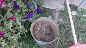 ВСЕ ПОШЛО НЕ ПО ПЛАНУ! Каковы итоги вспашки, выравнивания земли и посадки газона?