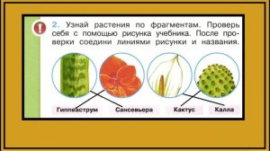 Окружающий мир 1 класс Что растет на подоконнике? страница 13-14.