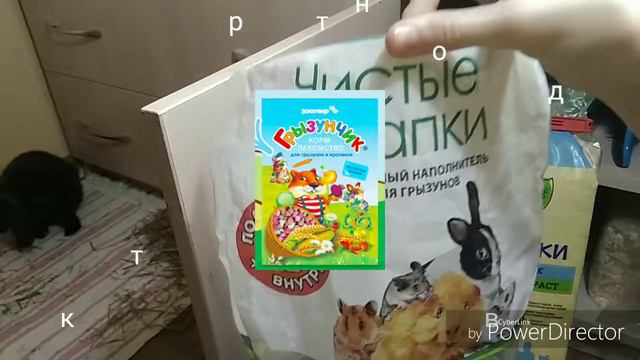 Шкаф моего кролика 🤗 смотреть онлайн