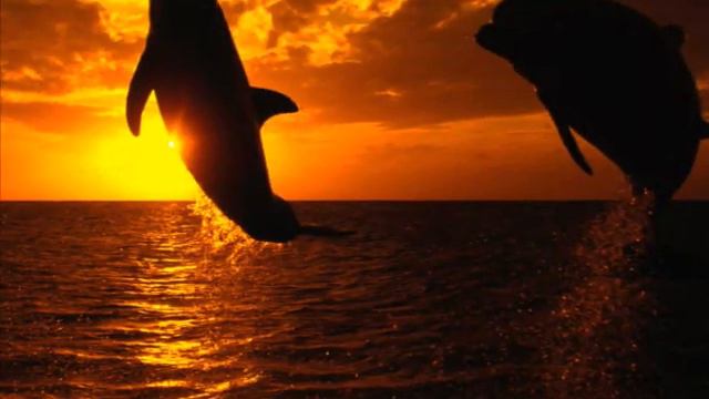 Музыка природы. Fantastic Sailboat Voyage *DREAMS OF OASIS* смотреть онлайн