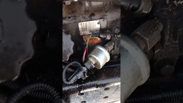 МТЗ 82, погнало солярку в поддон)))) смотреть онлайн