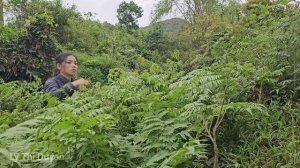 Single mother: I found my child at the address provided by the police | Ly Thi Duyen