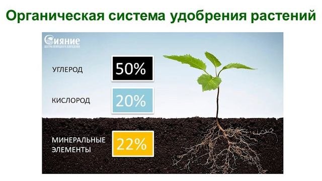 Удобрения - органические или минеральные?