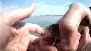 весенняя ловля карася на болонскую удочку