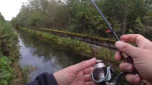 #035 Форель  Китайский стеклянный спиннинг  Подсак для мормо  Кульбит через голову