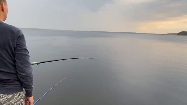 Рыбалка на Селигере. Ловим что клюёт (Домики у Пляжа). смотреть онлайн