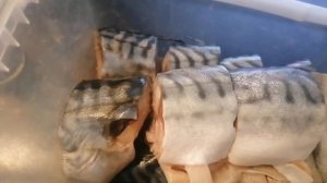 Жаренная паутинка @ Маринованная скумбрия