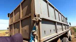 Сегодня полетел Торум, ну а уборка урожая продолжается! Подбор валков!