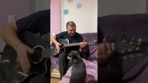 "Иди ко мне", "Алиса", Кинчев . Вариант из альбома "Шабаш"