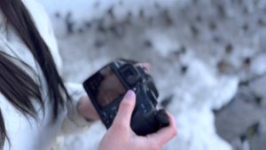 Фото на телефон и фотоаппарат | Какая камера лучше?