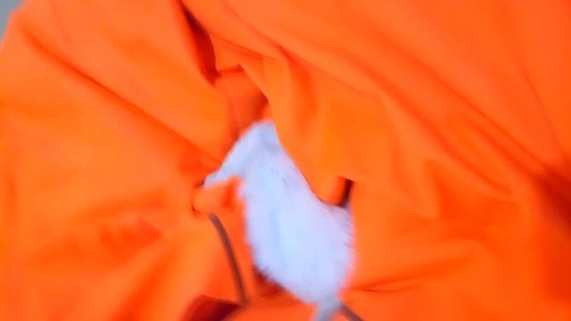 НАУЧИЛА ХОРЬКА КОМАНДЕ!!!! ДОМАШНИЙ ХОРЕК ВЫПОЛНЯЕТ КОМАНДУ! homemade ferret executes the command смотреть онлайн