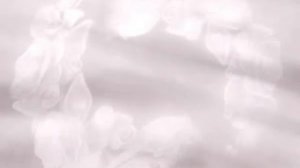 красивые футажи и фоны для монтажа