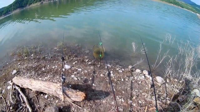 Рыбалка на водохранилище летом ловля на донку и поплавок