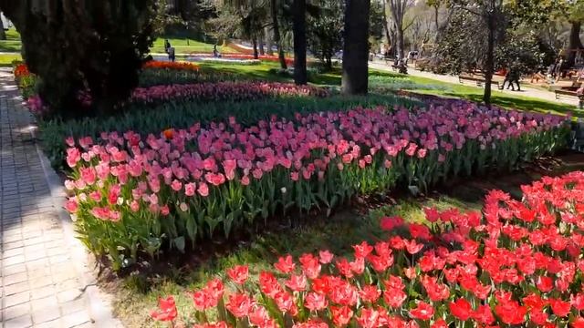 2022 TULIP FESTIVAL ISTANBUL/ ФЕСТИВАЛЬ ТЮЛЬПАНОВ СТАМБУЛ смотреть онлайн