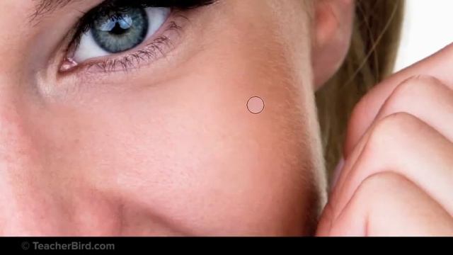 photoshop CS6 Retouch a Photo смотреть онлайн