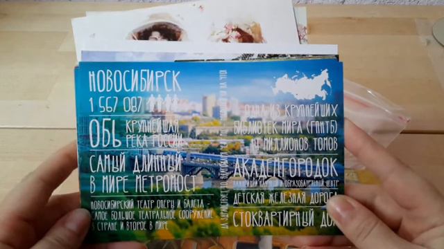 Тень кошки. Заказ почтовых открыток. смотреть онлайн