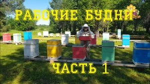 Рабочие будни пчеловода Часть №1