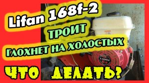 LIFAN 168F-2 троит, глохнет на холостых. ЧТО ДЕЛАТЬ !