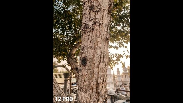 Xiaomi Mi 11 vs iPhone 12 Pro | Camera Comparison смотреть онлайн