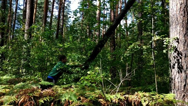 Выживание в лесу. Методы ориентирования и что делать если ты заблудился? смотреть онлайн