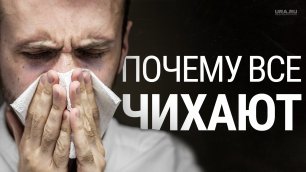 Россию накрыл самый опасный грипп, что известно о "свином" гриппе и как с ним бороться | URA.RU